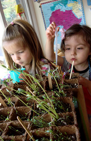 Tending Plants